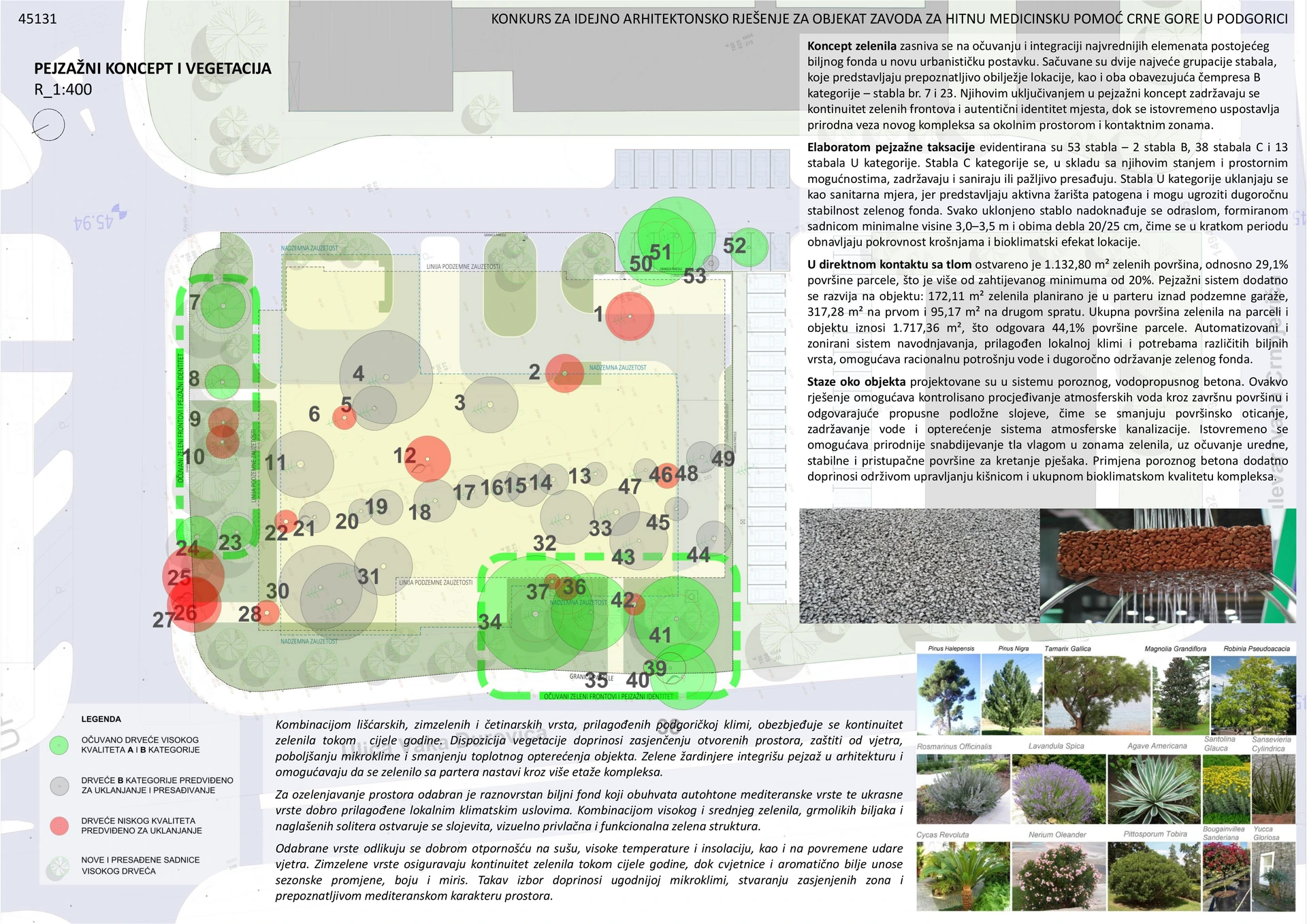 Landscape concept and vegetation