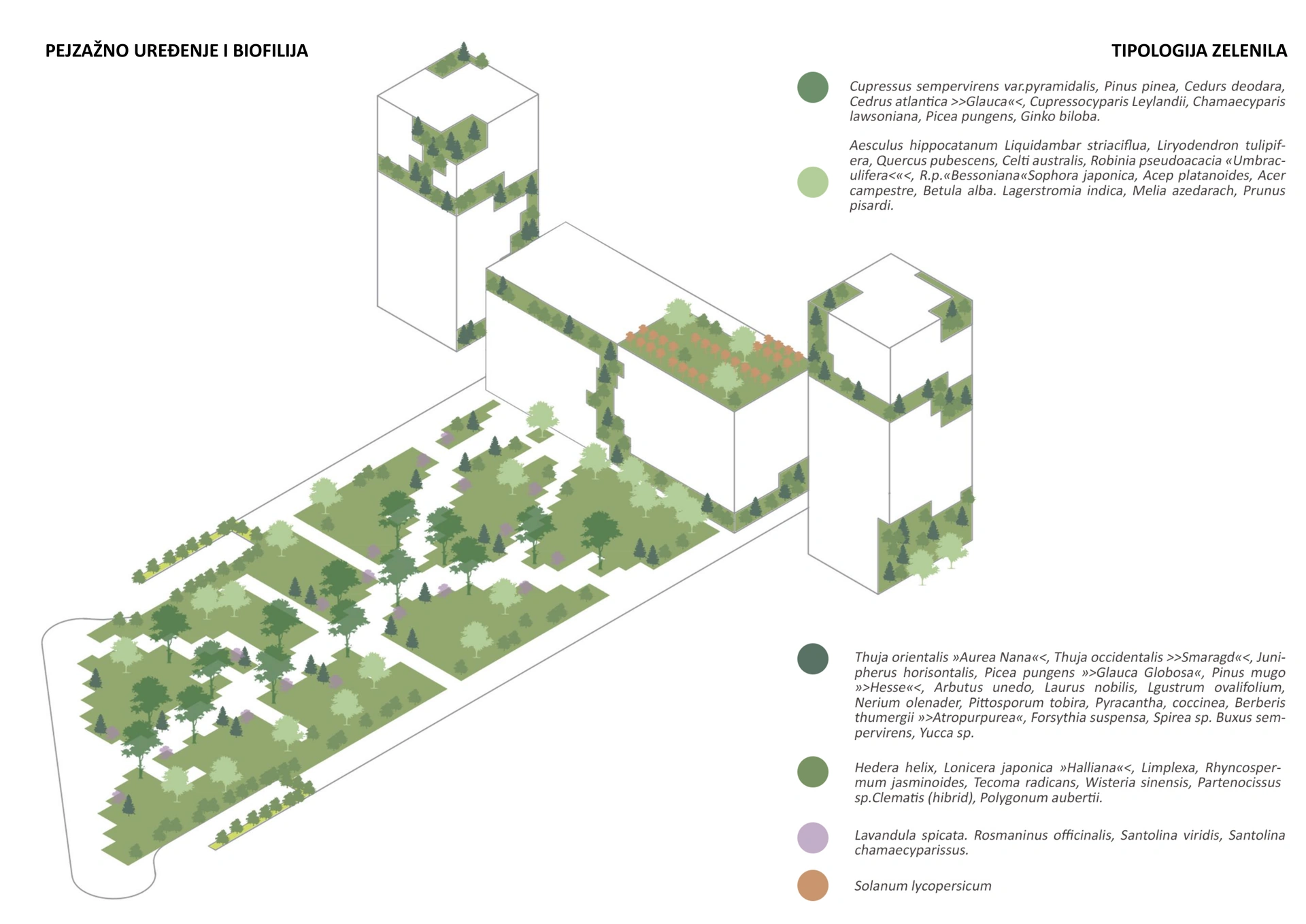 University City, Podgorica — Landscape concept - planting typologies